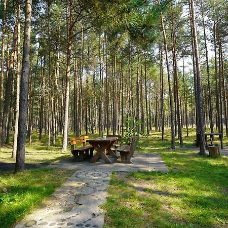 Forest Cottage Neringa Dış mekan fotoğraf