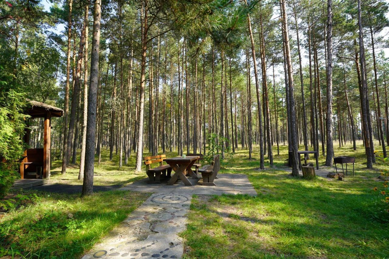 Forest Cottage Neringa Dış mekan fotoğraf